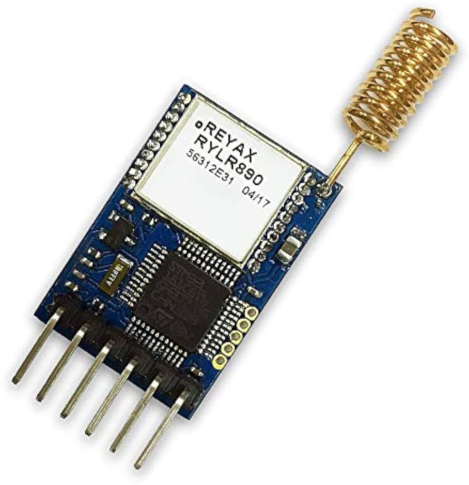 LoRA Module